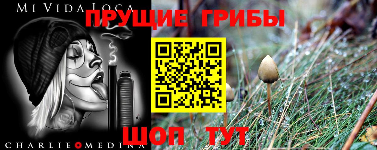 Саров  Псилоцибиновые грибы Psilocybine cubensis  Псилоцибиновые грибы GOLDEN TEACHER  Вход с VPN 