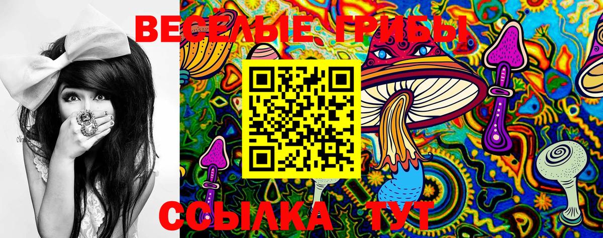 Галлюциногенные грибы GOLDEN TEACHER Саров